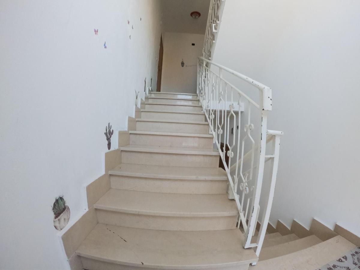 Cactus House Apartment Олбия Екстериор снимка